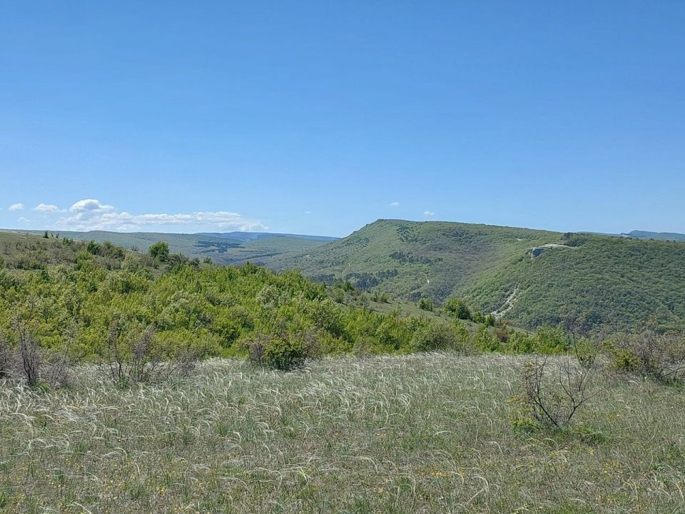 ������� ������ � ����� �� 15 ����