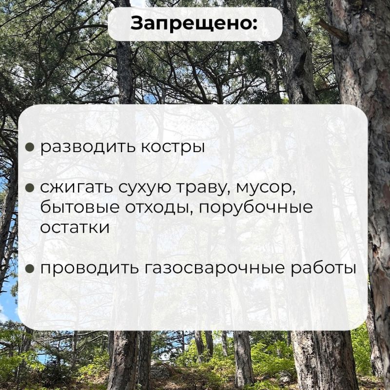 Внимание. На территории земель лесного фонда Республики Крым продлено ограничение пребывания граждан в лесах и въезда в них транспортных средств Внимание. На территории земель лесного фонда Республики Крым продлено ограничение пребывания граждан в лесах и въезда в них транспортных средств