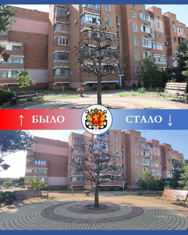 В сквере у генеалогического дерева обновили скамейки В сквере у генеалогического дерева обновили скамейки