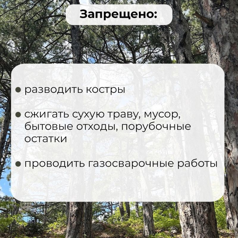 В Крыму продлено ограничение пребывание в лесах — Минприроды РК В Крыму продлено ограничение пребывание в лесах — Минприроды РК