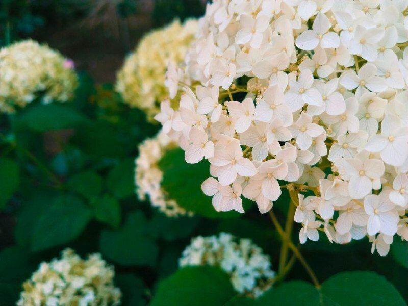 � ������ �����, �������!. ������ ����������� ���������� �� ���� ����! ������� � �������� �����������, t +33, ����� ��������