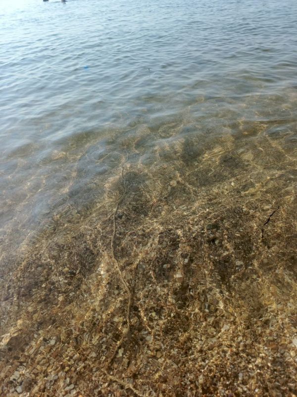 ����������� ������� ���� �� �������� ������, 16 ����