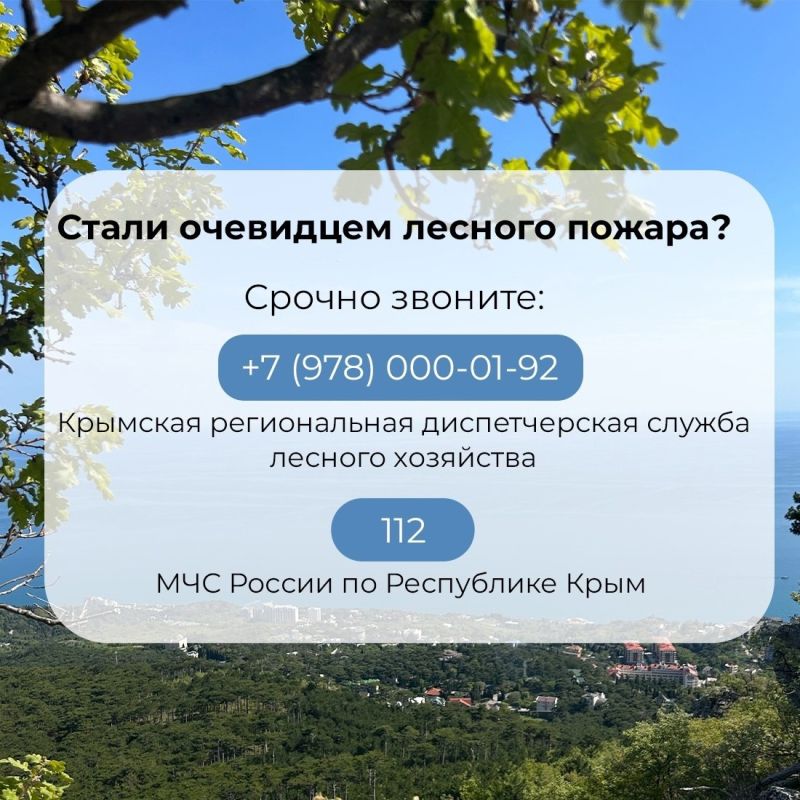 Внимание. На территории земель лесного фонда Республики Крым продлено ограничение пребывания граждан в лесах и въезда в них транспортных средств Внимание. На территории земель лесного фонда Республики Крым продлено ограничение пребывания граждан в лесах и въезда в них транспортных средств