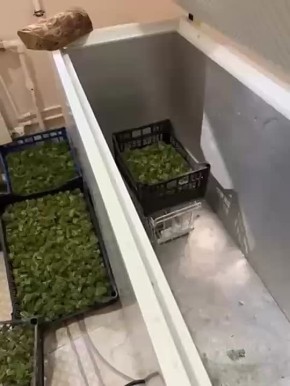     ,  ,       ,  -        