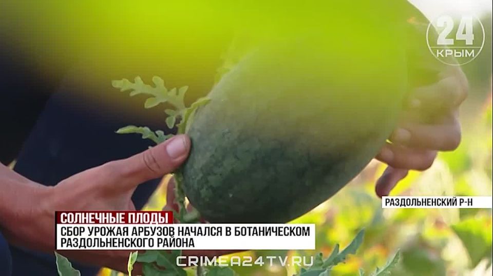 � ����� ����� ������� � ���� � ���� ���� ������� ������