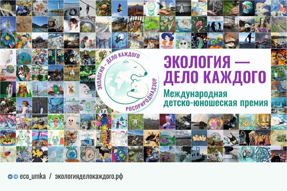 Керчанка вошла в число победителей премии Росприроднадзора «Экология – дело каждого» Керчанка вошла в число победителей премии Росприроднадзора «Экология – дело каждого»