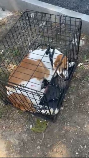              , ,          