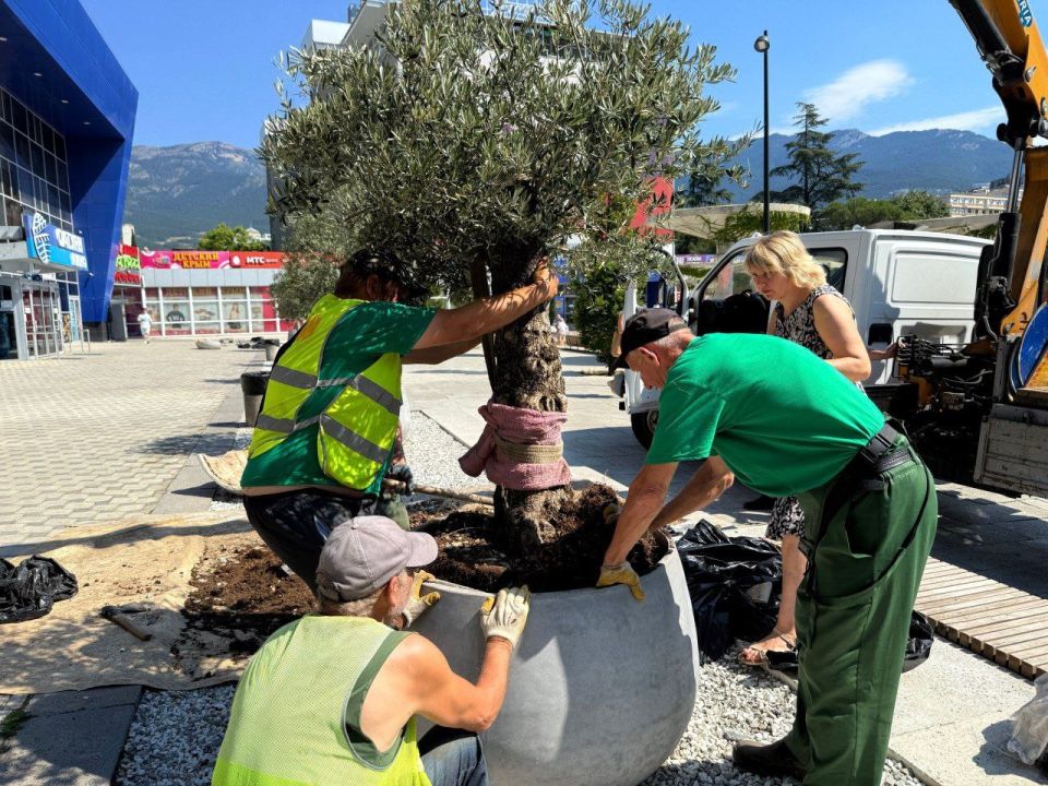 ����� ��������: �������� ������ ��� ����� �������� ���� �� ������� ���������