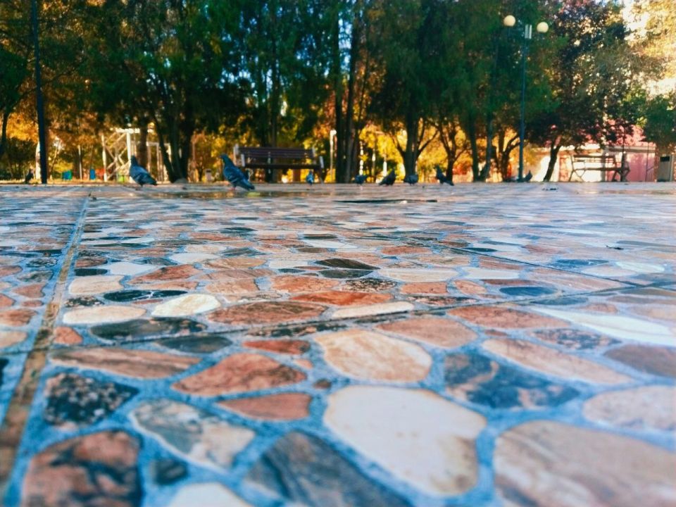 � ������ �����, �������!. ����� � ��� ��� ����� ������, � ���� �����, ��� �� ��������! ������� � �������� �����������, t +30, ����� ��������