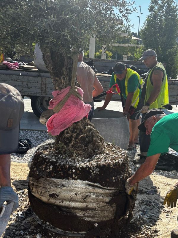 ����� ��������: �������� ������ ��� ����� �������� ���� �� ������� ���������