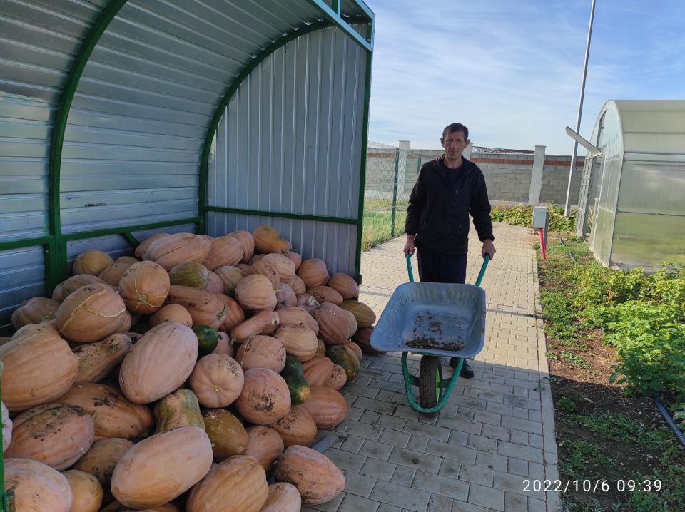 ���������� ������������ ����� � ���������� ������ ���������� ���� �������� ��� �� ������������������ �������������������� ��������