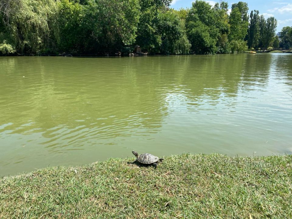 ������� ������ � ����� �� 18 ����