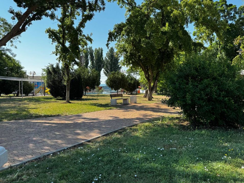 В городе ведётся ежедневная планомерная работа по покосу травы на муниципальных территориях В городе ведётся ежедневная планомерная работа по покосу травы на муниципальных территориях
