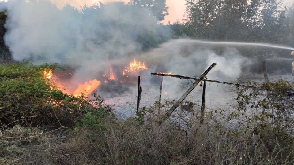 �� ��������� ����� 7 ��� ��������� ��� �� "�������� ������ ���������� ����" ������������ ��� ���������� ���������� ����� ��������������