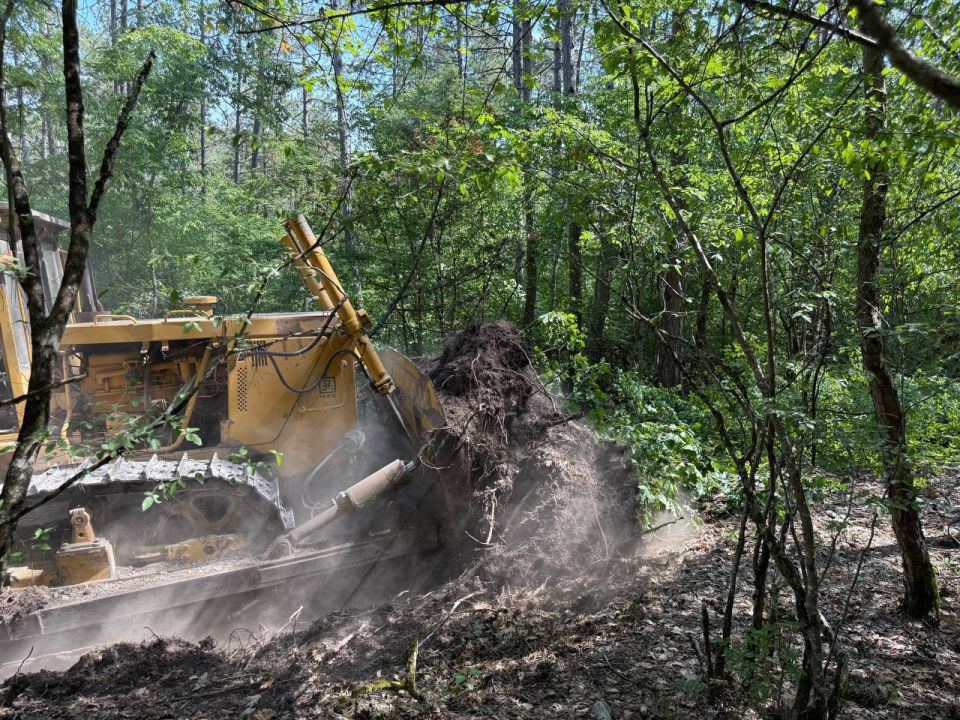 Михаил Развожаев: В Терновском участковом лесничестве идёт расчистка квартальных дорог и просек