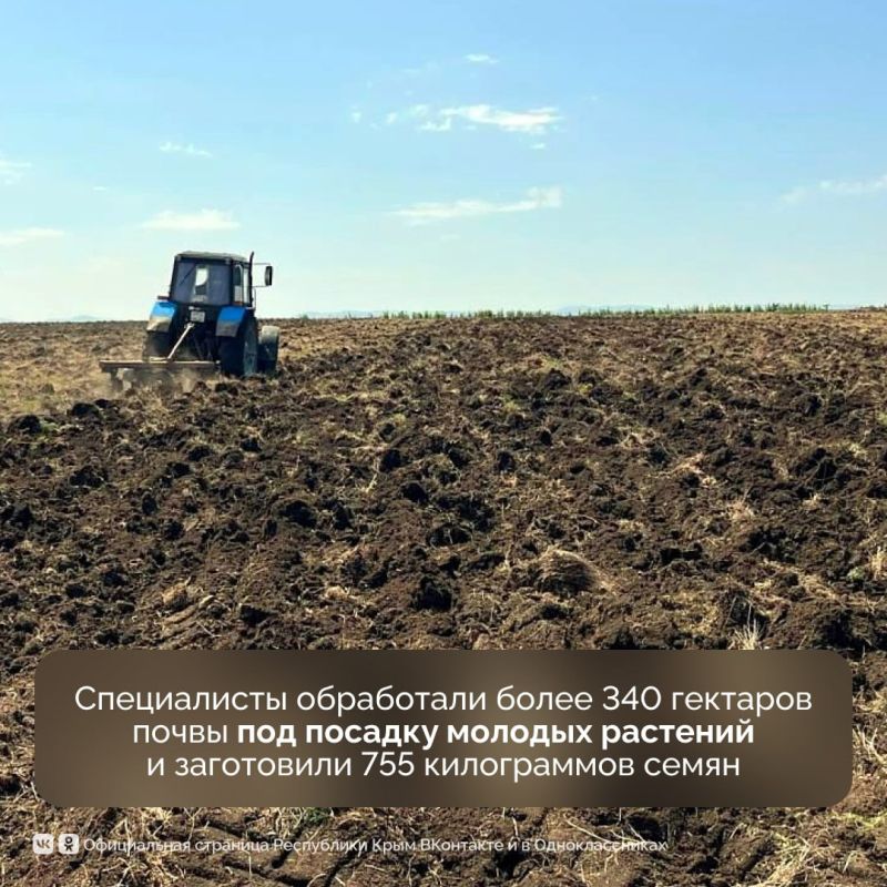 Крымские лесхозы успели многое сделать за первые 6 месяцев этого года Крымские лесхозы успели многое сделать за первые 6 месяцев этого года