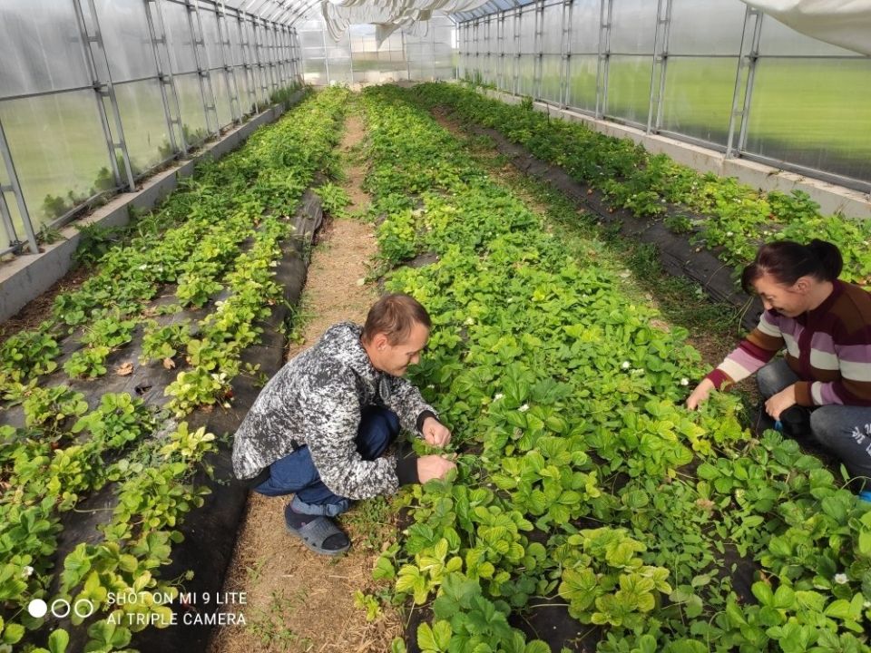 ���������� ������������ ����� � ���������� ������ ���������� ���� �������� ��� �� ������������������ �������������������� ��������