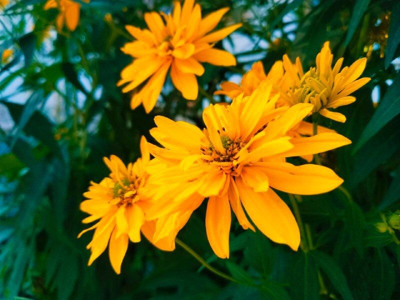 � ������ �����, �������!. ������ ����� ���� ������� ������� � ���������� ����� ������������! ������� � �������� �����������, t +29, ����� ��������