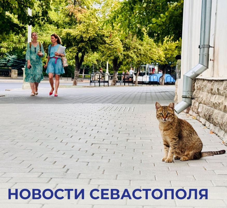 Михаил Развожаев: Итоги минувшего дня:. Начали асфальтировать дорогу на Античном проспекте, уже уложили первые 150 метров асфальта