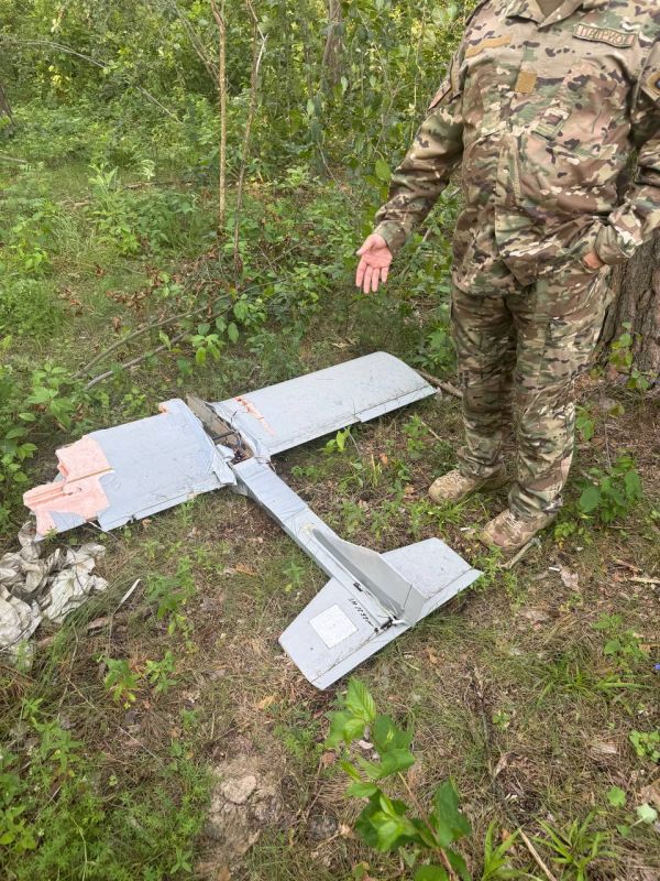 Вместе с сотрудниками Главного военного следственного управления СК РФ продолжаем гуманитарную миссию в Брянскую область Вместе с сотрудниками Главного военного следственного управления СК РФ продолжаем гуманитарную миссию в Брянскую область