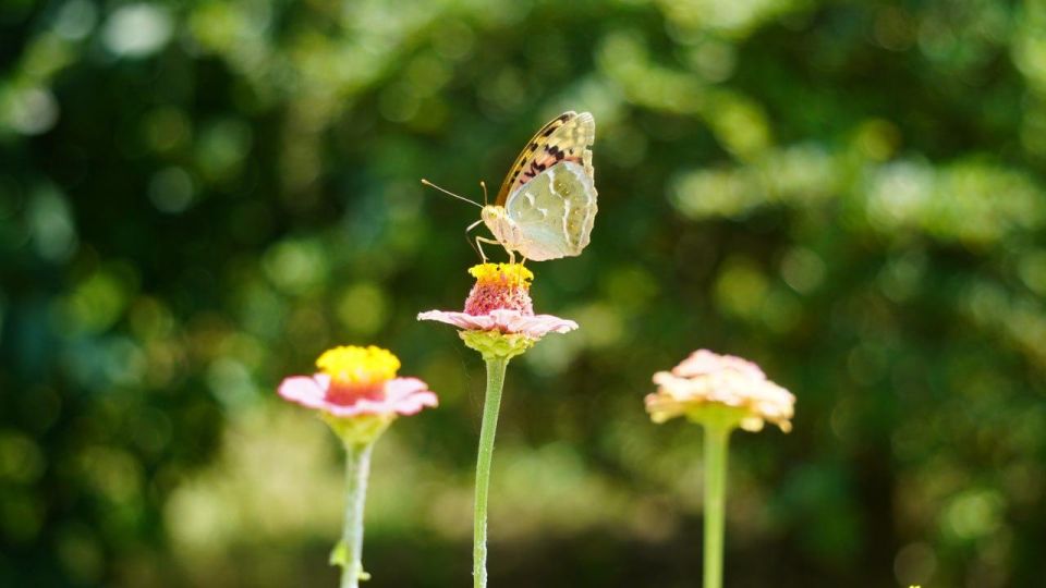 ������� ������ � ����� �� 20 ����