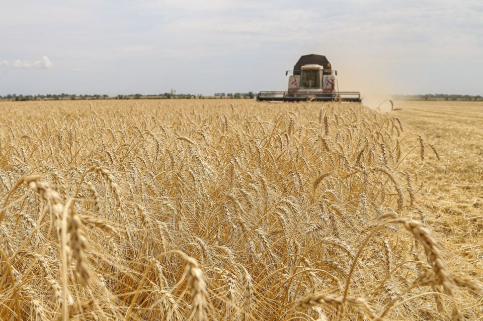 Сергей Аксёнов: Крымскими аграриями намолочен миллион тонн ранних зерновых и зернобобовых культур Сергей Аксёнов: Крымскими аграриями намолочен миллион тонн ранних зерновых и зернобобовых культур