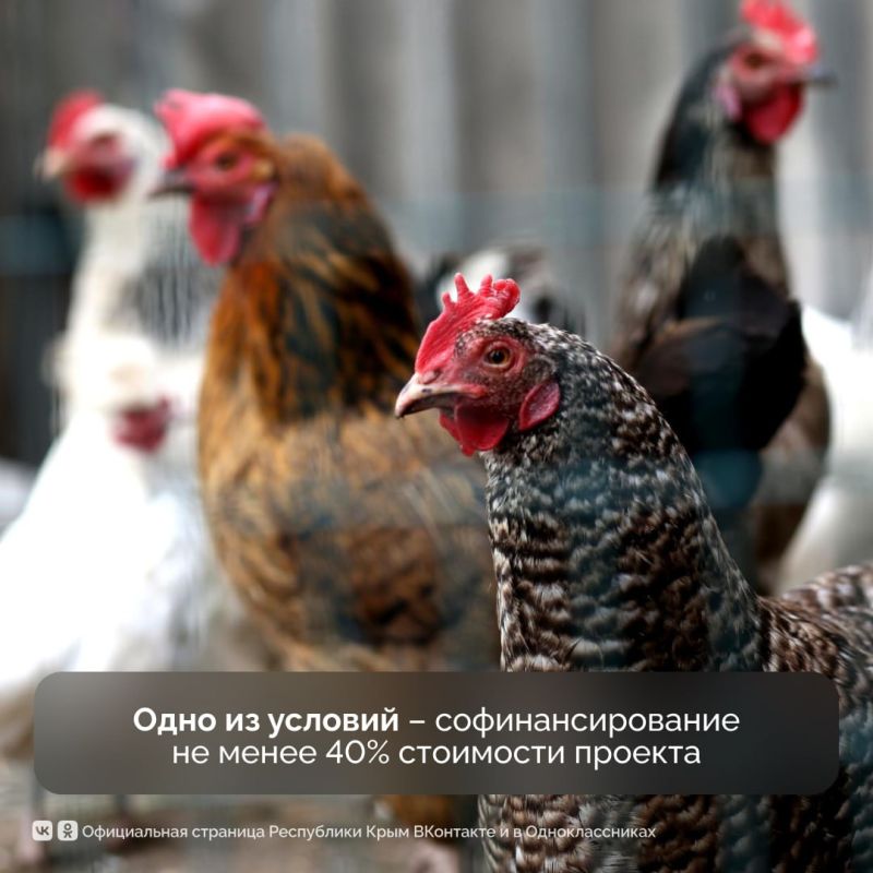 Минсельхоз Республики Крым проводит отбор кандидатов на получение грантов от 5 до 15 млн рублей Минсельхоз Республики Крым проводит отбор кандидатов на получение грантов от 5 до 15 млн рублей