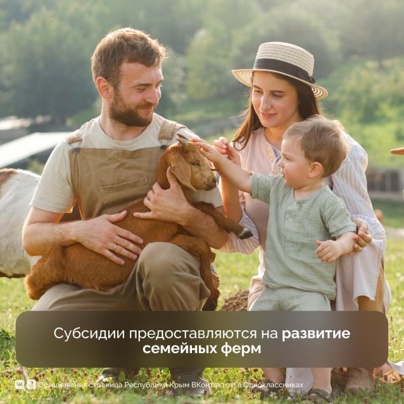 Минсельхоз Республики Крым проводит отбор кандидатов на получение грантов от 5 до 15 млн рублей Минсельхоз Республики Крым проводит отбор кандидатов на получение грантов от 5 до 15 млн рублей