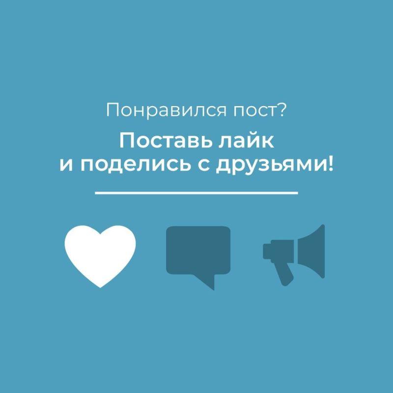 Почему нельзя трогать дельфинов на берегу и как себя вести в таких случаях? Почему нельзя трогать дельфинов на берегу и как себя вести в таких случаях?