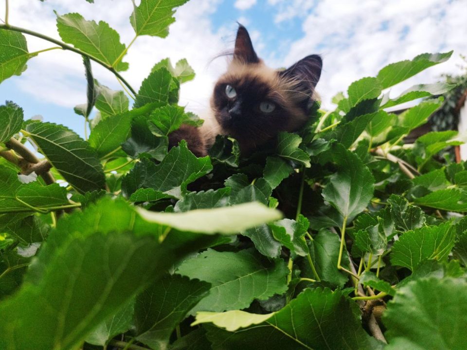 ������� ������ � ����� �� 22 ����