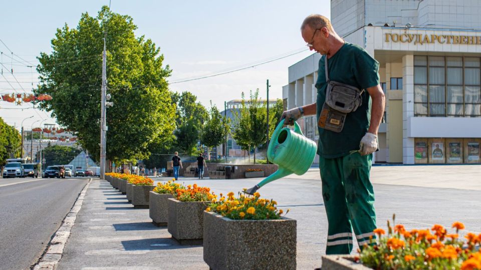 Полив зелёных насаждений в знойные дни — кадры, наполненные прохладой и свежестью Полив зелёных насаждений в знойные дни — кадры, наполненные прохладой и свежестью