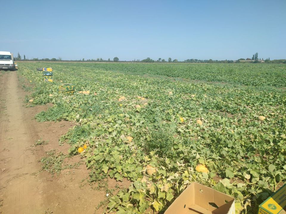 ����� �������: ������� � ������� ���������������� ������� ������ �� ����������� �������� �� ����� ����� � �������������� ������ ������ ������� � �������� ����������� �� ���������� ������������� ��������� ���������