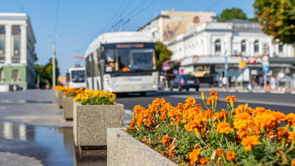 Полив зелёных насаждений в знойные дни — кадры, наполненные прохладой и свежестью Полив зелёных насаждений в знойные дни — кадры, наполненные прохладой и свежестью