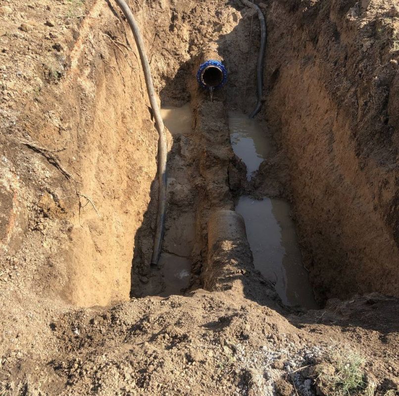 ���� �����: ��������� ��������!. ����������������� ������ �����������!