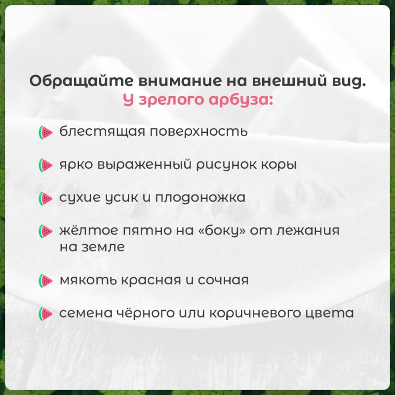А вы уже попробовали арбуз этим летом? А вы уже попробовали арбуз этим летом?