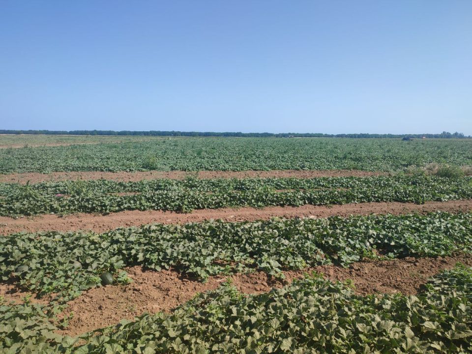 ����� �������: ������� � ������� ���������������� ������� ������ �� ����������� �������� �� ����� ����� � �������������� ������ ������ ������� � �������� ����������� �� ���������� ������������� ��������� ���������