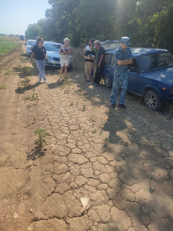 ����� �������: ������� � ������� ���������������� ������� ������ �� ����������� �������� �� ����� ����� � �������������� ������ ������ ������� � �������� ����������� �� ���������� ������������� ��������� ���������