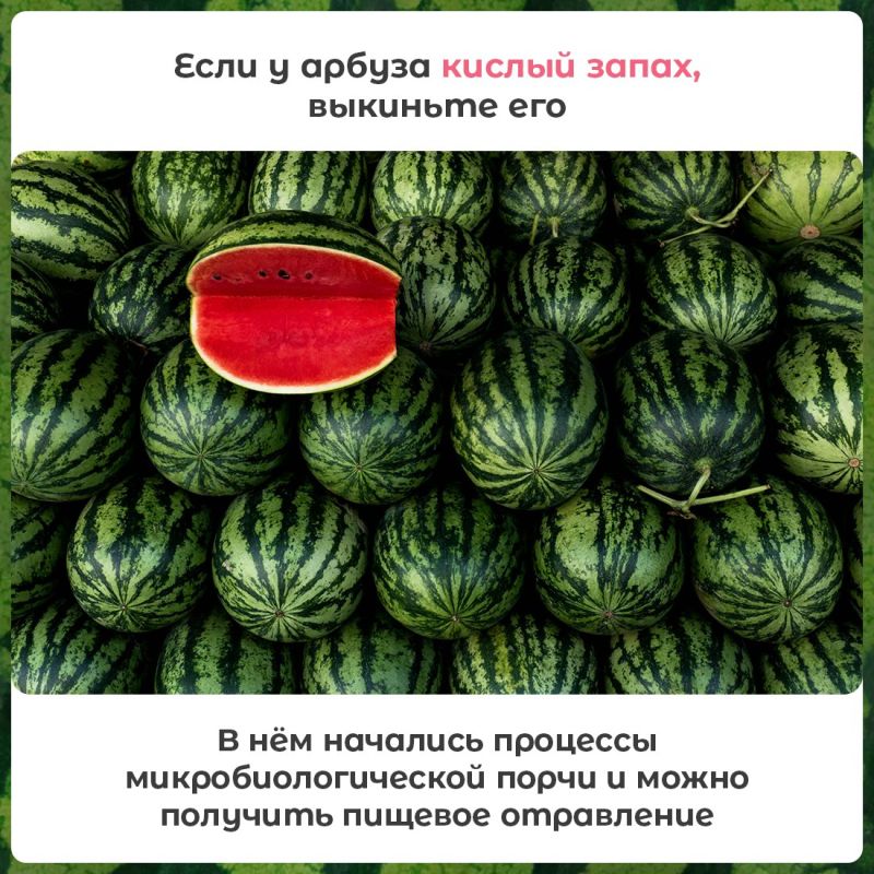 А вы уже попробовали арбуз этим летом? А вы уже попробовали арбуз этим летом?