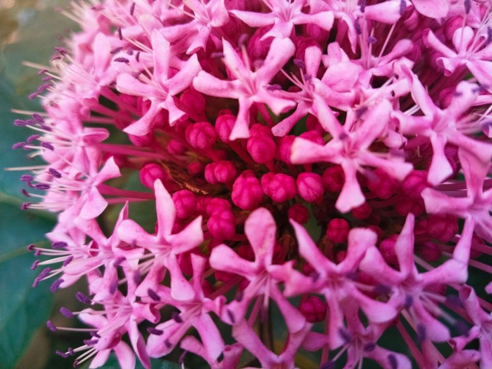 � ������ �����, �������!. ����� ��� ���� ����� �������, ���������� � ��������������! ������� � �������� �����������, t +32, ����� ���-��������