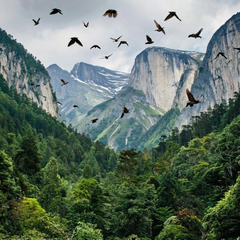 ������� ������ � ����� �� 24 ����