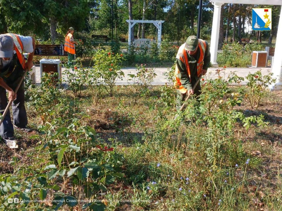 Сегодня «Парки и скверы» ухаживают за розами в сквере Софьи Перовской Сегодня «Парки и скверы» ухаживают за розами в сквере Софьи Перовской