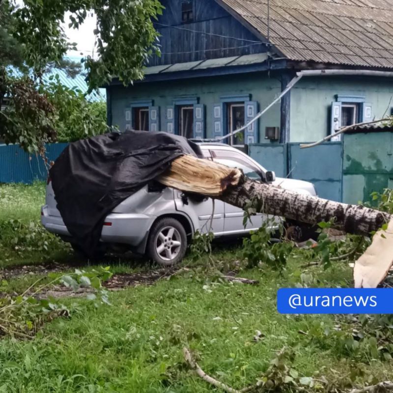 ����� 80 ����� ������� �������� ��� ����� � �������� �������