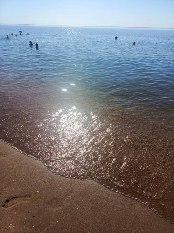 ����������� ������� ���� �� �������� ������, 24 ����