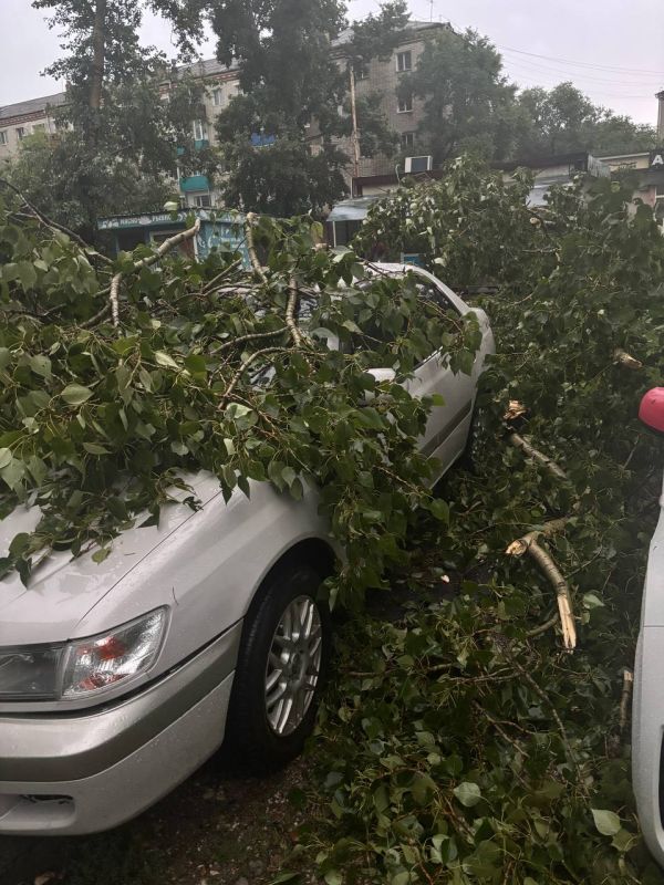 ��� ������� 81 ������ ������� �������� ������� �������� ��� ������������� ����� ������ � �� ���� �������� � ����������� �������