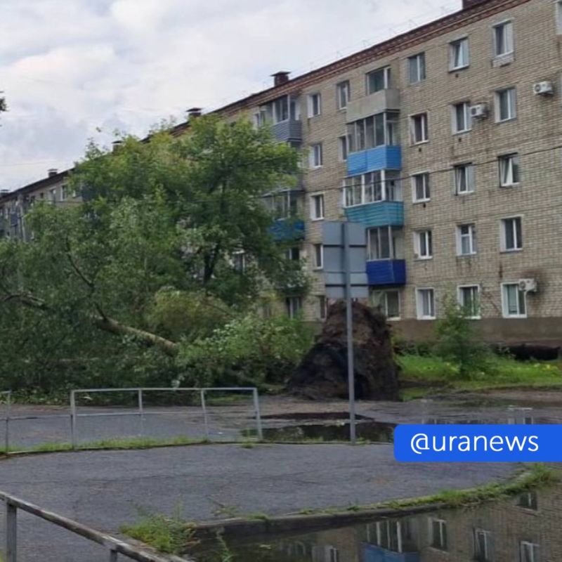 ����� 80 ����� ������� �������� ��� ����� � �������� �������