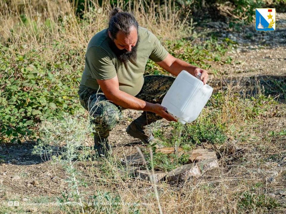 Храним «Сад Памяти». Каждую неделю сотрудники лесничества поливают 80 кедров, высаженных в память о героях Великой Отечественной войны Храним «Сад Памяти». Каждую неделю сотрудники лесничества поливают 80 кедров, высаженных в память о героях Великой Отечественной войны