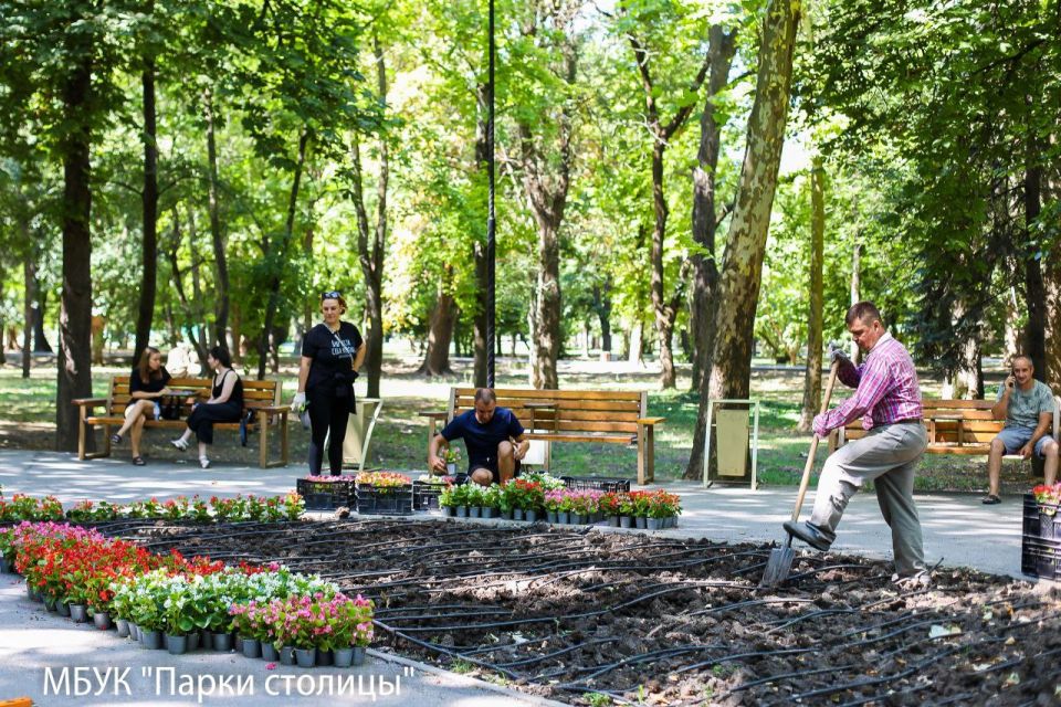 В парке Гагарина продолжается высадка цветов В парке Гагарина продолжается высадка цветов