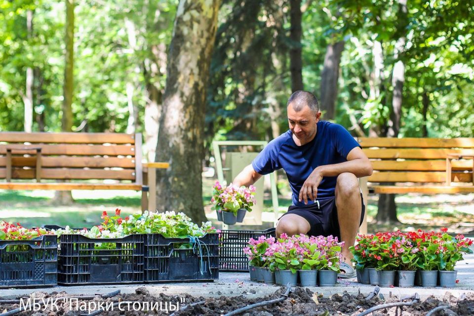 В Симферополе продолжается высадка цветов В Симферополе продолжается высадка цветов