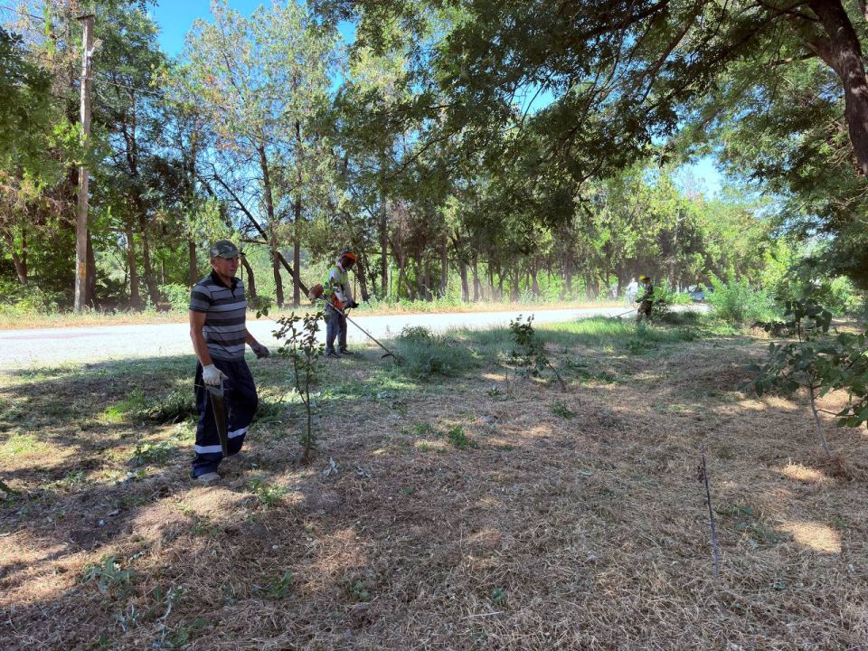 Антон Кравец: Проведен мониторинг санитарной очистки в селе Зеленое Антон Кравец: Проведен мониторинг санитарной очистки в селе Зеленое