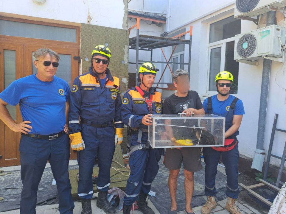 В Евпатории два дня ловили сбежавшую из зоопарка обезьяну Дуняшу В Евпатории два дня ловили сбежавшую из зоопарка обезьяну Дуняшу
